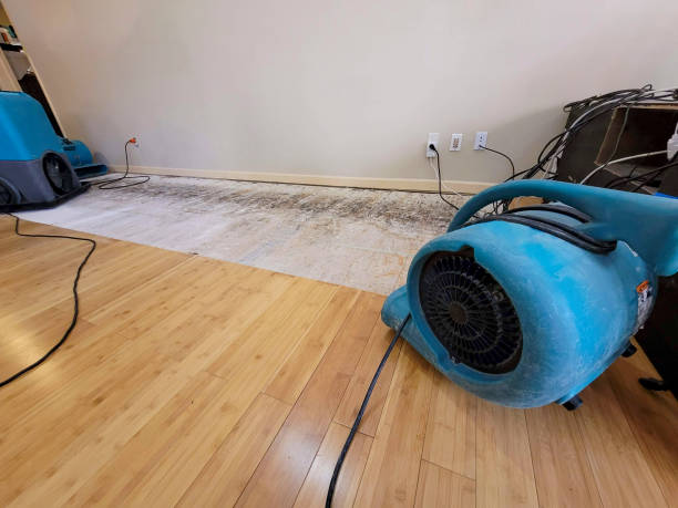 Professional Ceiling Water Damage Repair technician working in Palouse, WA